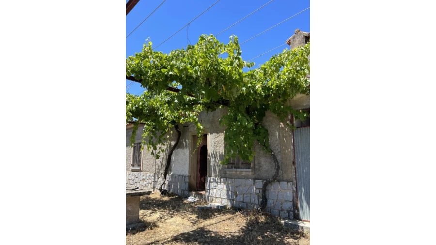 Quinta para Venda em Espírito Santo, Nossa Senhora da Graça e São Simão Foto 20