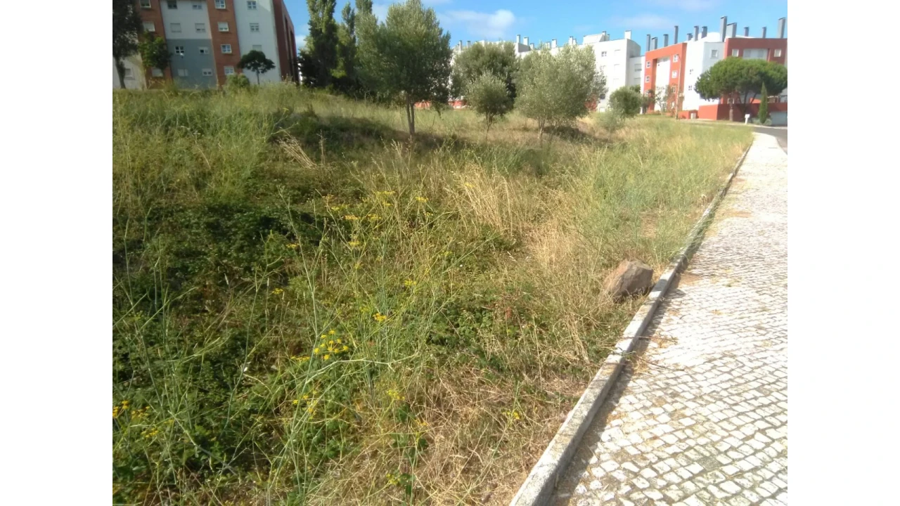 Terreno para Venda em Samora Correia Foto 2