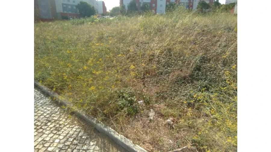 Terreno para Venda em Samora Correia Foto 3