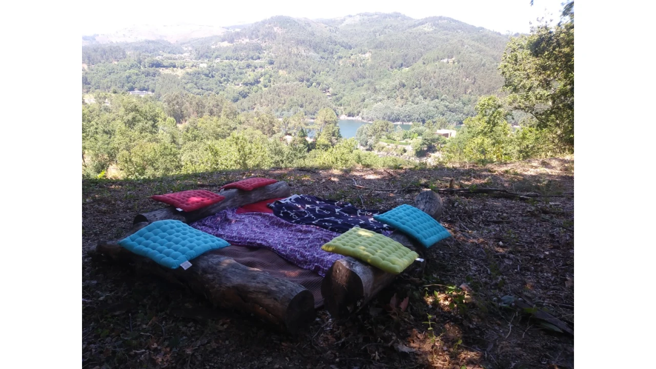 Terreno para Venda em Caniçada e Soengas Foto 6