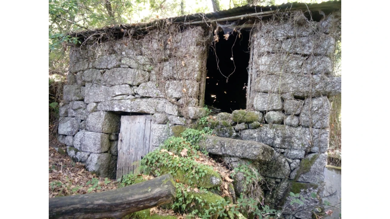 Terreno para Venda em Caniçada e Soengas Foto 10