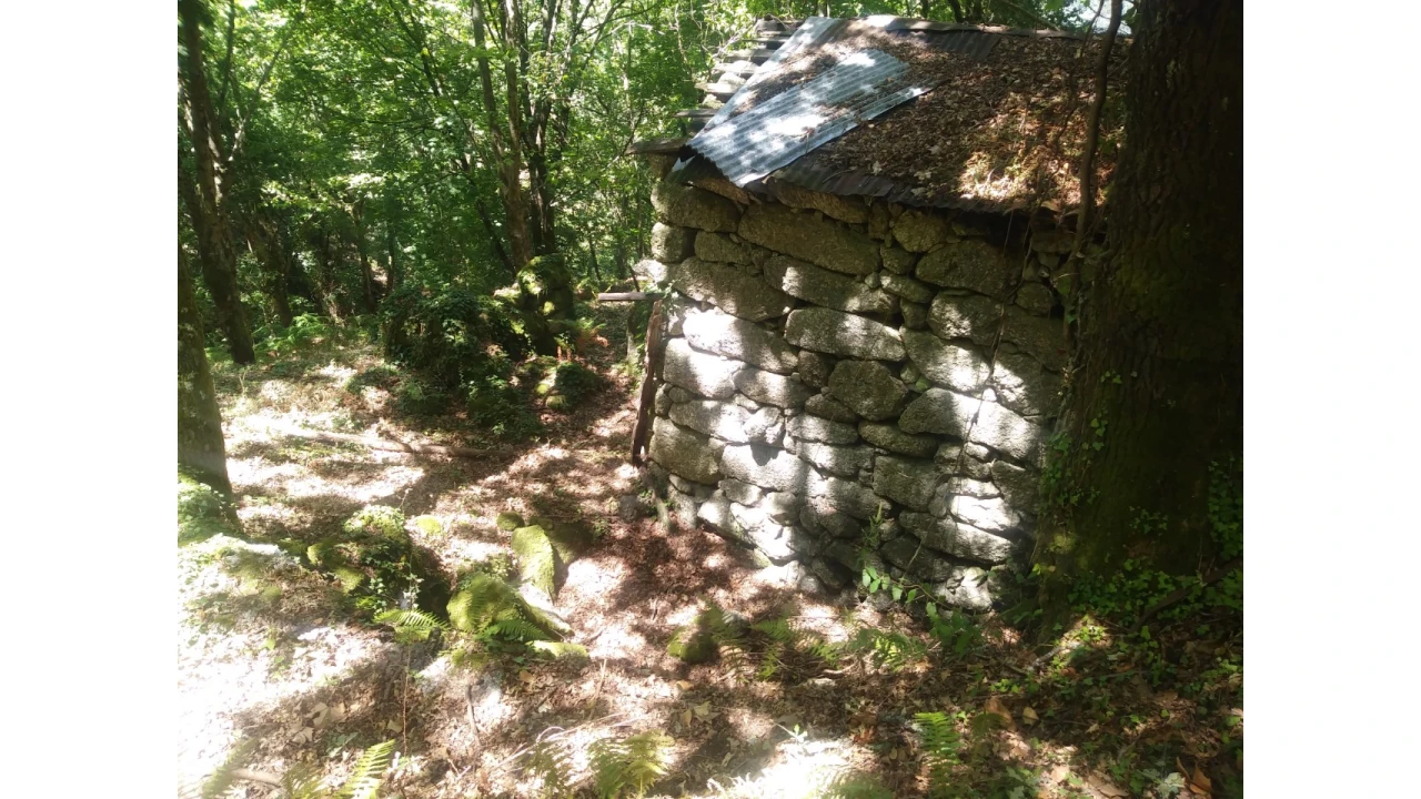 Terreno para Venda em Caniçada e Soengas Foto 11