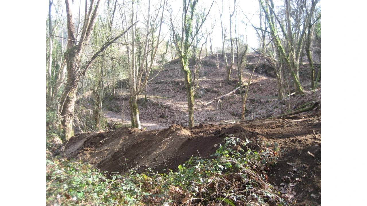 Terreno para Venda em Caniçada e Soengas Foto 15