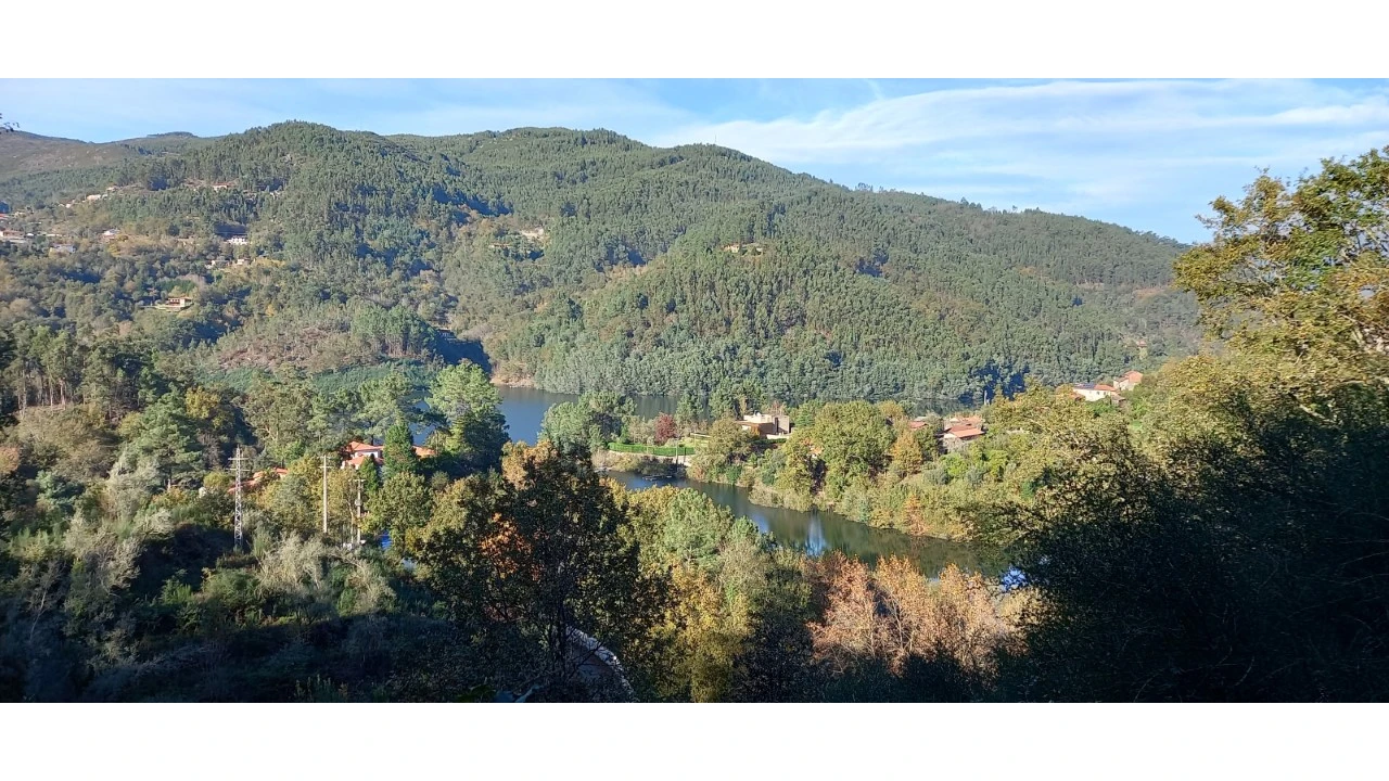 Terreno para Venda em Caniçada e Soengas Foto 18