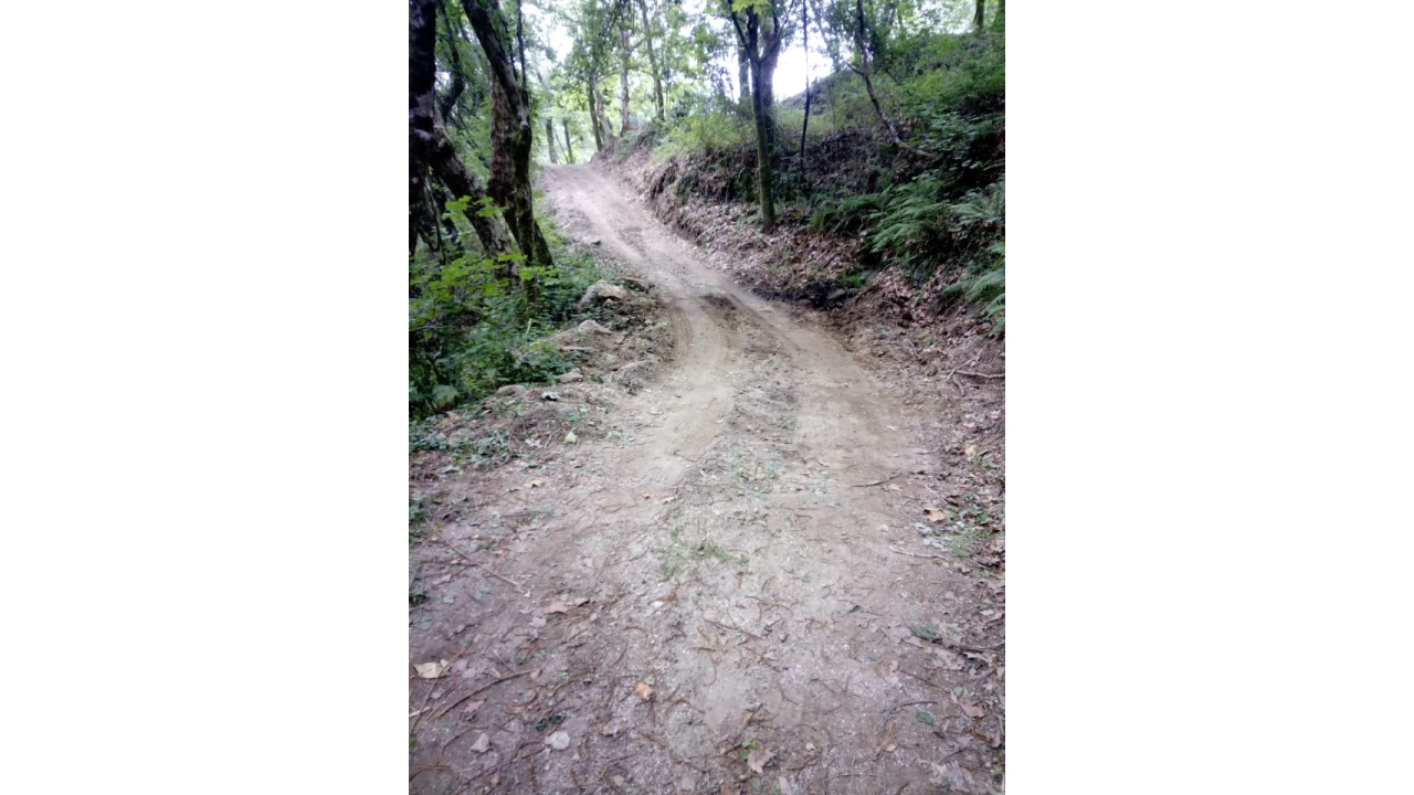 Terreno para Venda em Caniçada e Soengas Foto 20