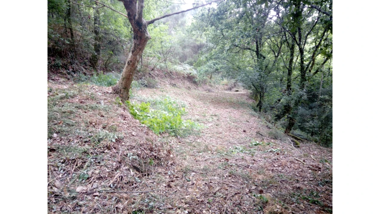 Terreno para Venda em Caniçada e Soengas Foto 21