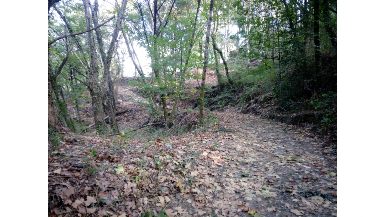 Terreno para Venda em Caniçada e Soengas Foto 22