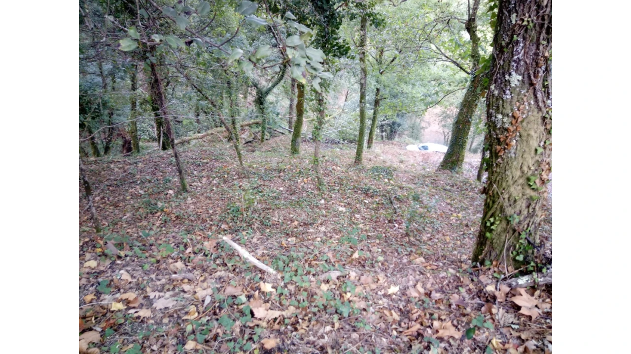 Terreno para Venda em Caniçada e Soengas Foto 23