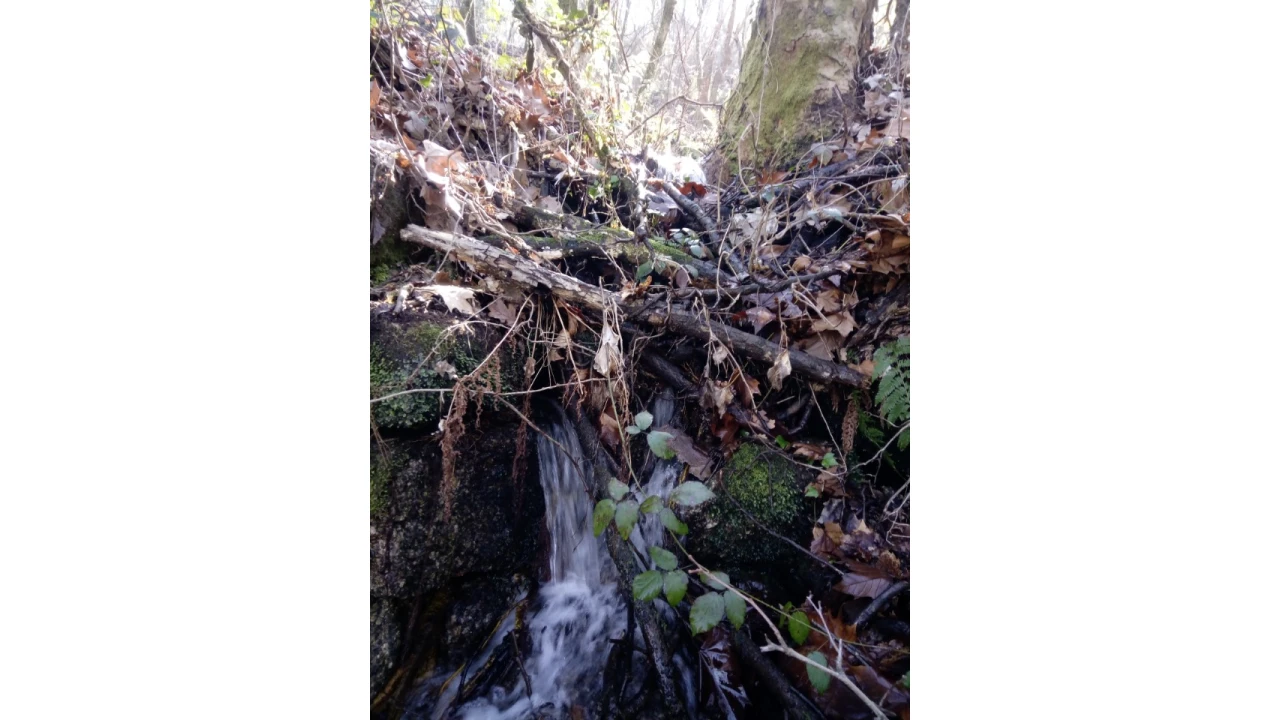 Terreno para Venda em Caniçada e Soengas Foto 26