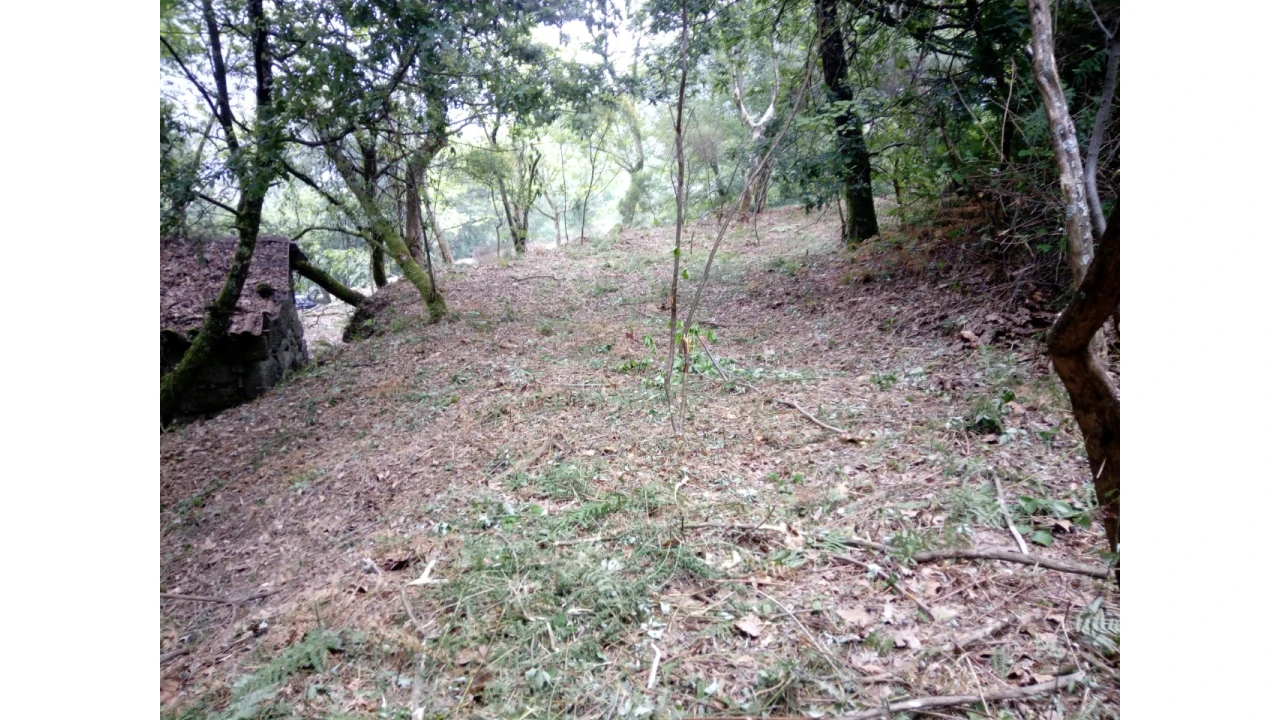Terreno para Venda em Caniçada e Soengas Foto 28