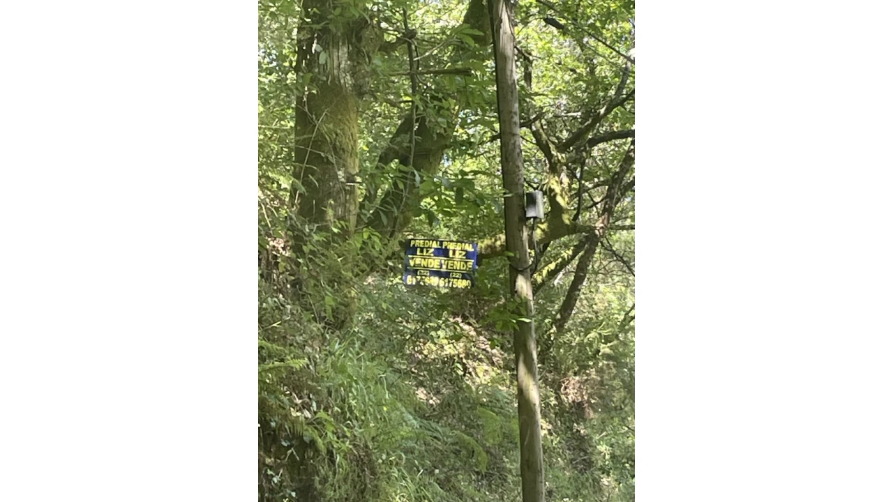Terreno para Venda em Caniçada e Soengas Foto 29