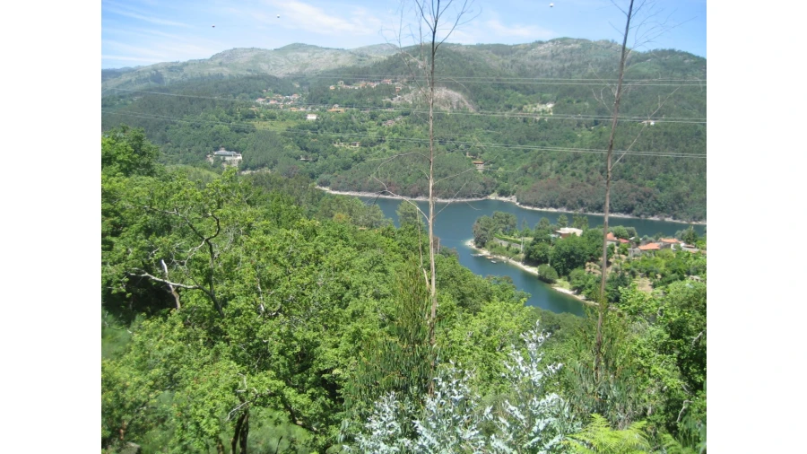 Terreno para Venda em Caniçada e Soengas