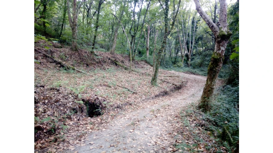 Terreno para Venda em Caniçada e Soengas Foto 3