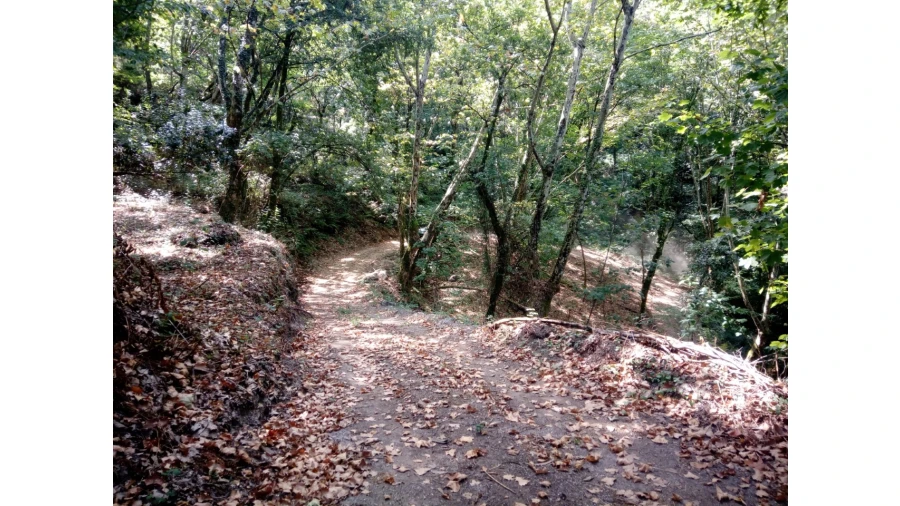 Terreno para Venda em Caniçada e Soengas Foto 4