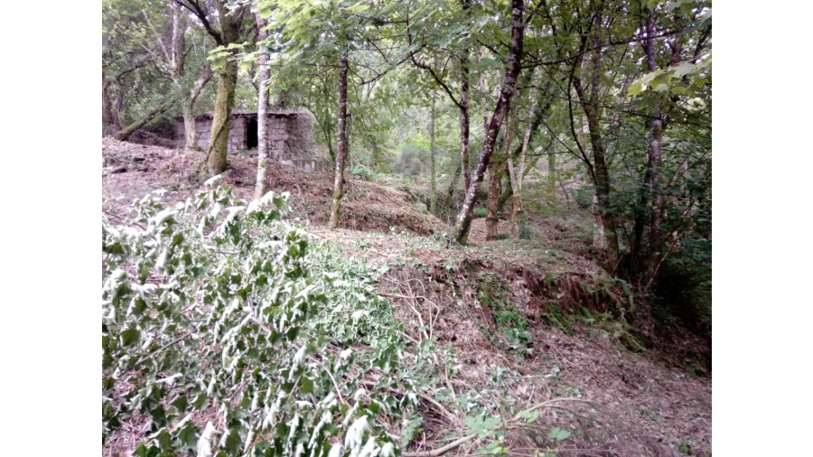 Terreno para Venda em Caniçada e Soengas Foto 5