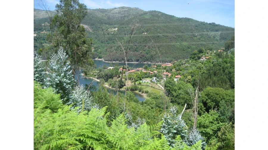 Terreno para Venda em Caniçada e Soengas Foto 14