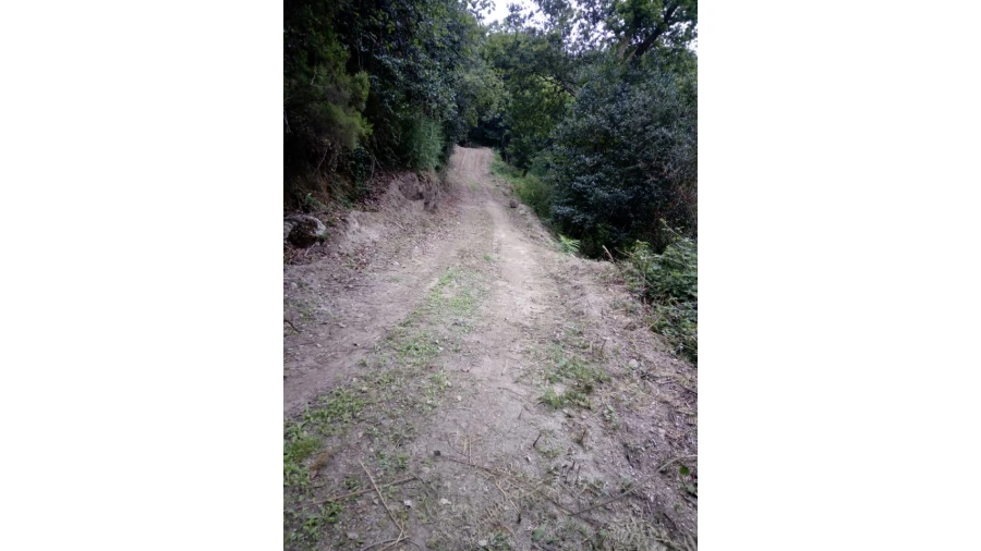 Terreno para Venda em Caniçada e Soengas Foto 16