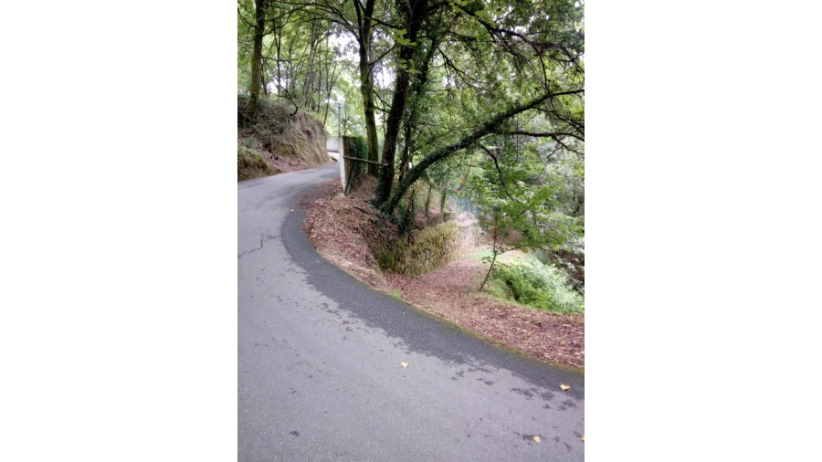 Terreno para Venda em Caniçada e Soengas Foto 17
