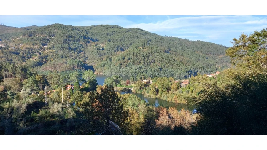 Terreno para Venda em Caniçada e Soengas Foto 18