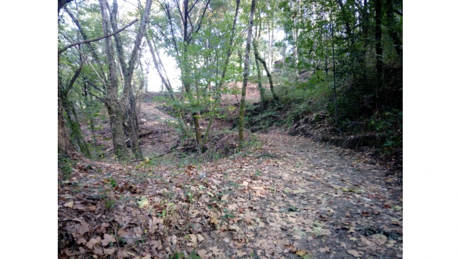 Terreno para Venda em Caniçada e Soengas Foto 22