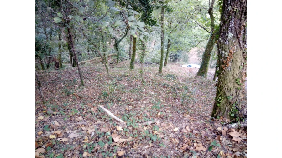 Terreno para Venda em Caniçada e Soengas Foto 23