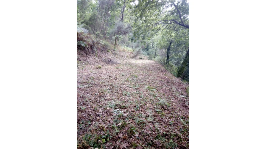 Terreno para Venda em Caniçada e Soengas Foto 27