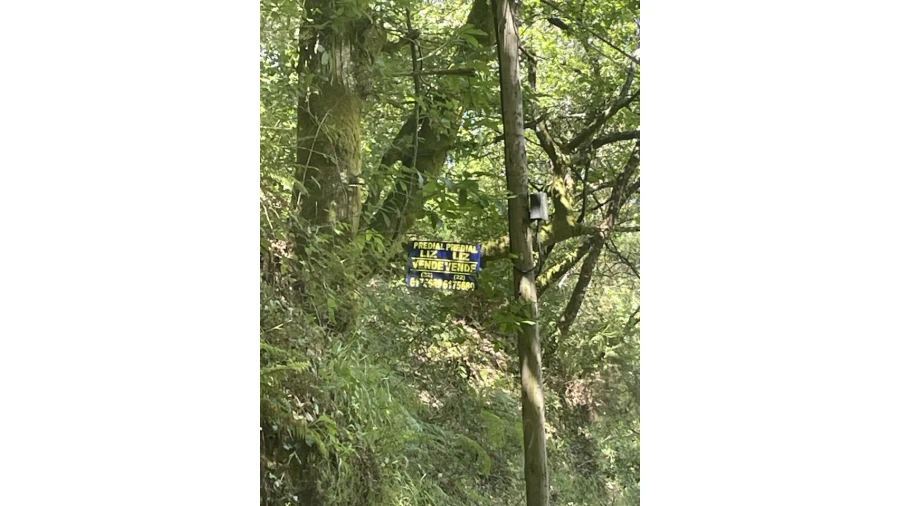 Terreno para Venda em Caniçada e Soengas Foto 29