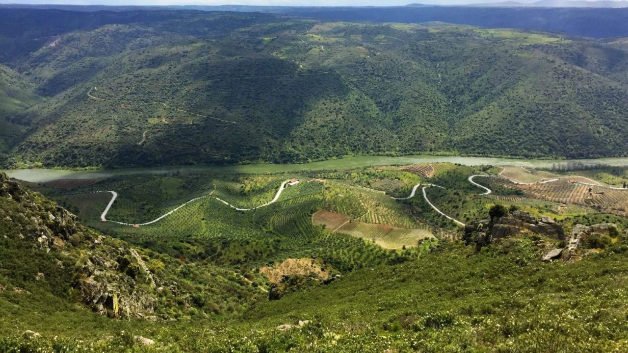 Quinta para Venda em Poiares Foto 1
