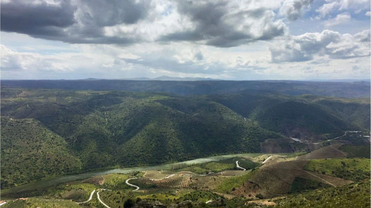 Quinta para Venda em Poiares Foto 2