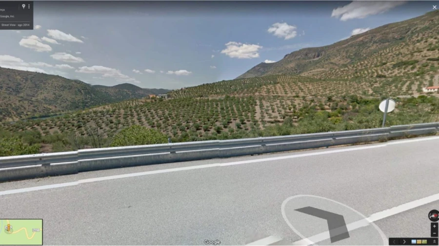 Quinta para Venda em Poiares Foto 4