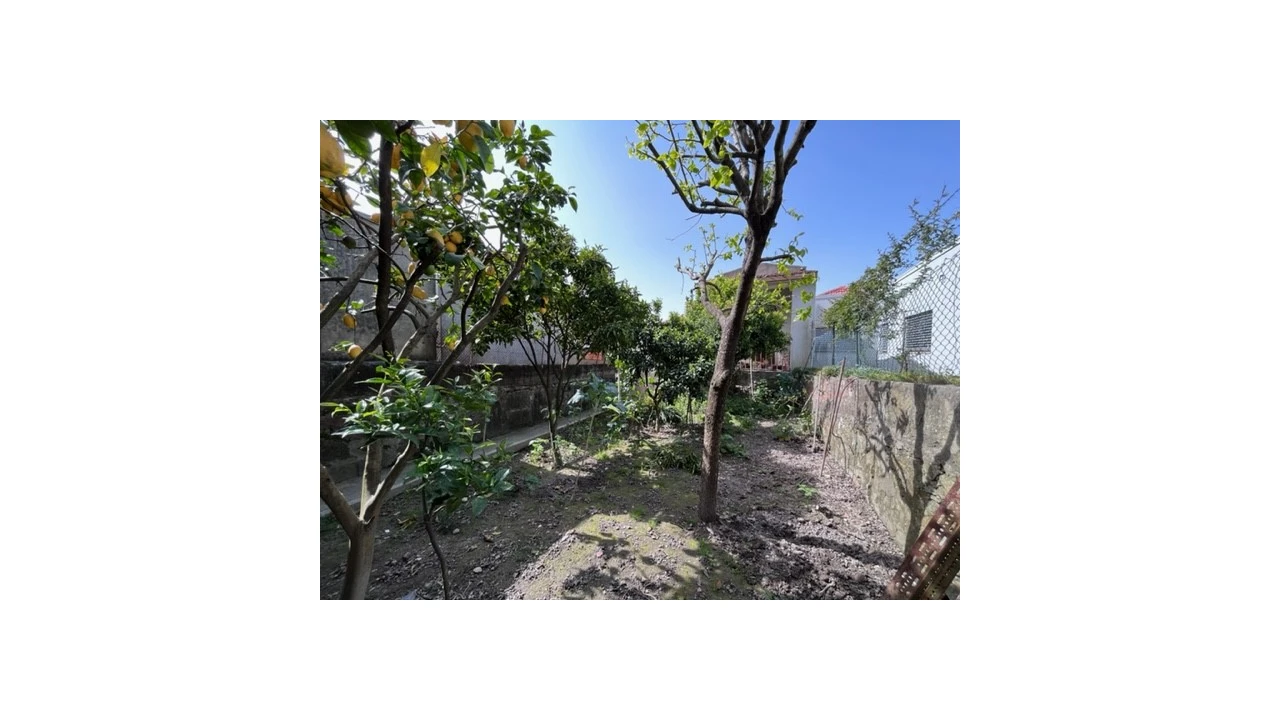 Prédio para Venda em Bonfim Foto 4