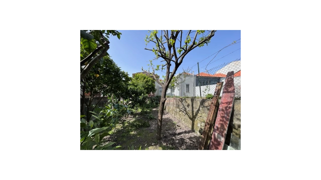 Prédio para Venda em Bonfim Foto 5