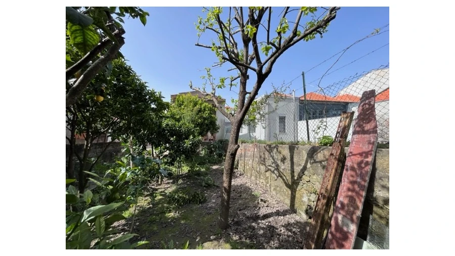 Prédio para Venda em Bonfim Foto 5