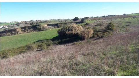 Quinta para Venda em Manique do Intendente, Vila Nova de São Pedro e Maçussa