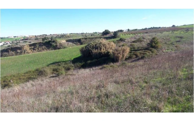 Quinta para Venda em Manique do Intendente, Vila Nova de São Pedro e Maçussa