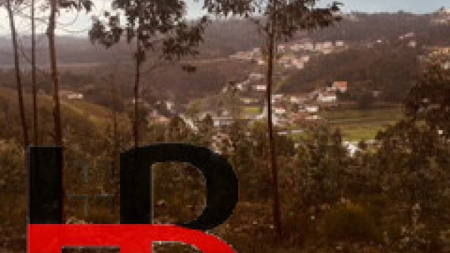 Terreno Agricola ou Rústico para Venda em Fânzeres e São Pedro da Cova