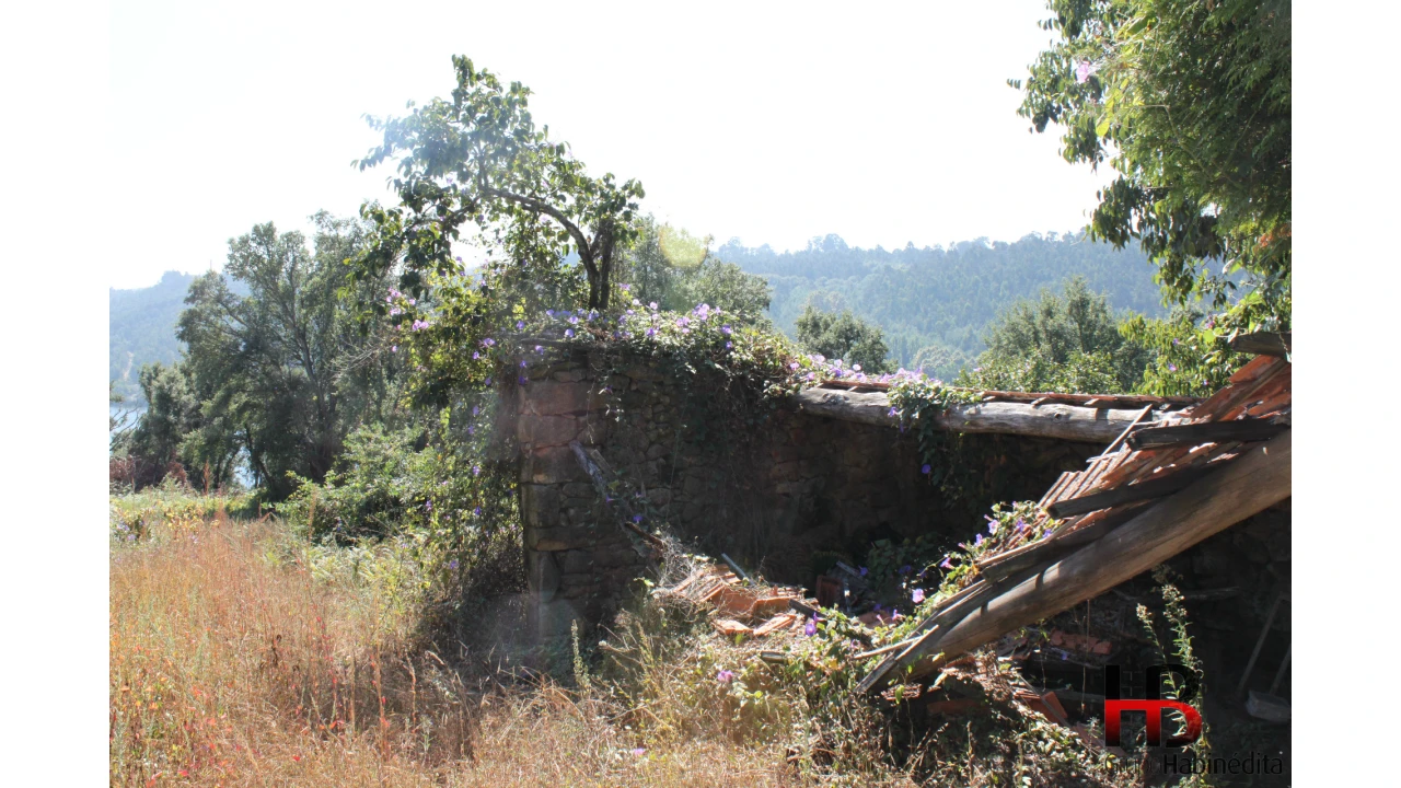 Quinta T0 para Venda em Gondomar (São Cosme), Valbom e Jovim Foto 3