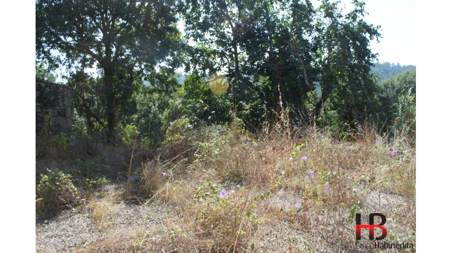 Quinta T0 para Venda em Gondomar (São Cosme), Valbom e Jovim Foto 6
