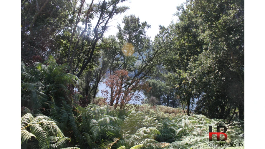 Quinta T0 para Venda em Gondomar (São Cosme), Valbom e Jovim Foto 16