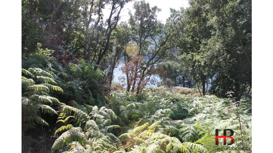 Quinta T0 para Venda em Gondomar (São Cosme), Valbom e Jovim Foto 15