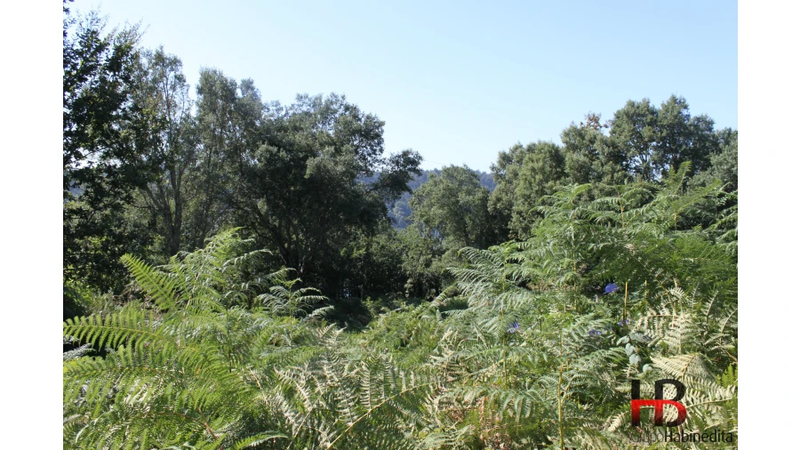 Quinta T0 para Venda em Gondomar (São Cosme), Valbom e Jovim Foto 11