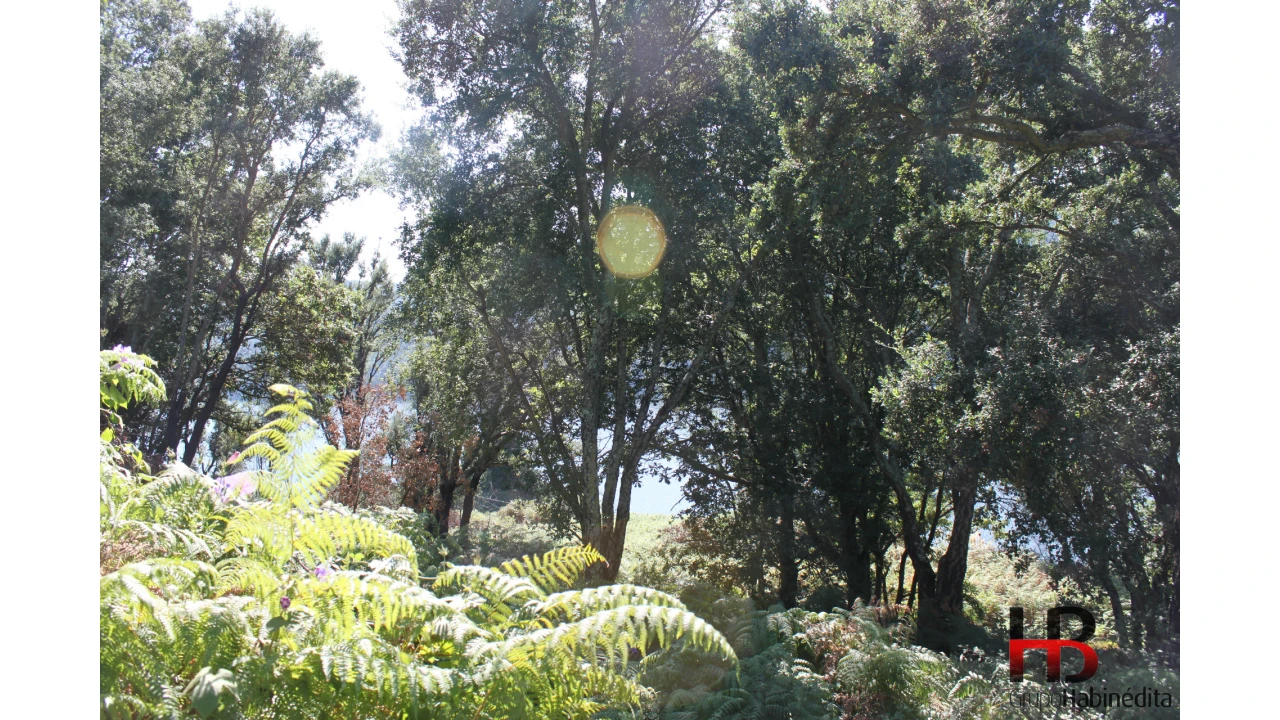 Quinta T0 para Venda em Gondomar (São Cosme), Valbom e Jovim Foto 12