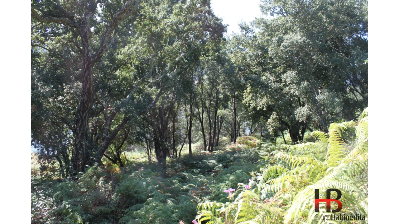 Quinta T0 para Venda em Gondomar (São Cosme), Valbom e Jovim Foto 13