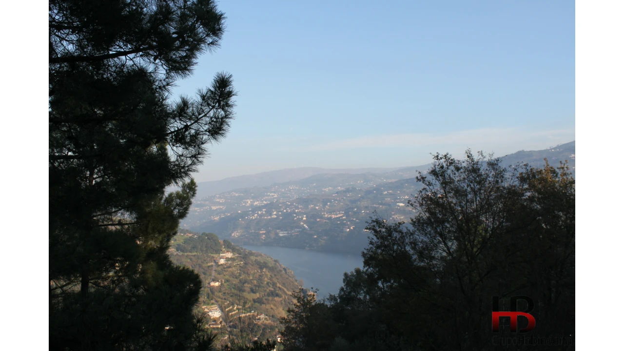 Quinta T4 para Venda em Ancede e Ribadouro Foto 6