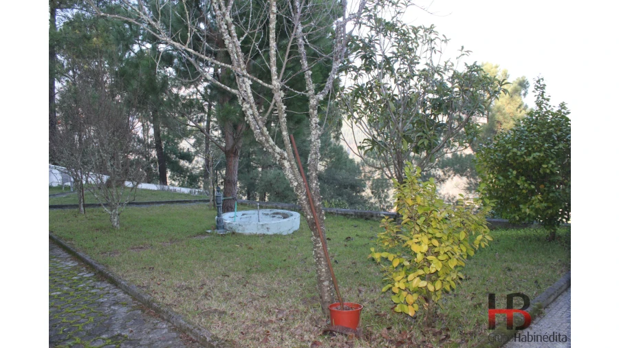 Quinta T4 para Venda em Ancede e Ribadouro Foto 2