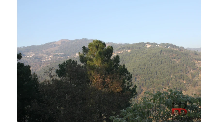 Quinta T4 para Venda em Ancede e Ribadouro Foto 10