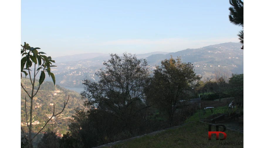 Quinta T4 para Venda em Ancede e Ribadouro Foto 4