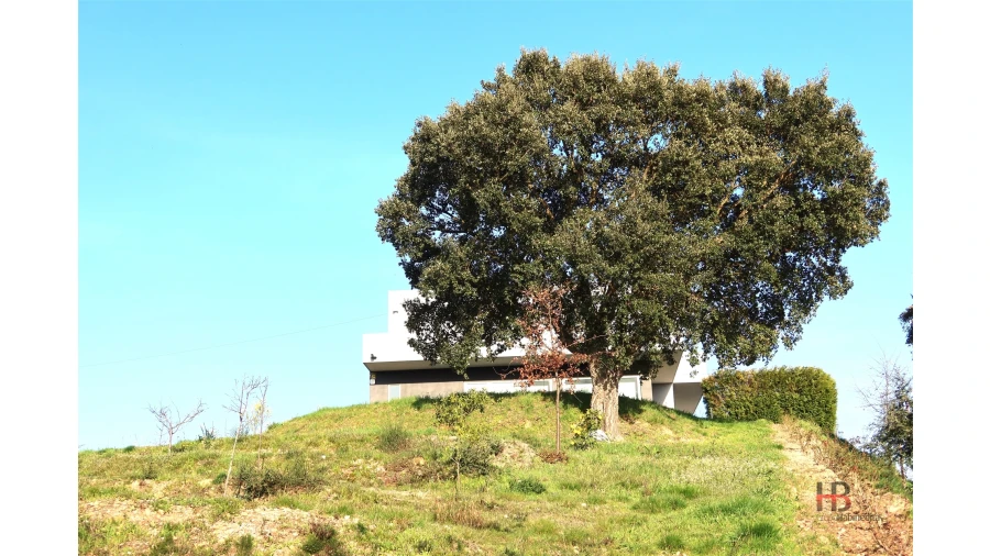 Quinta T4 para Venda em Sobrado e Bairros Foto 10