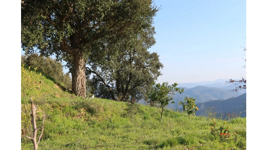 Quinta T4 para Venda em Sobrado e Bairros Foto 14