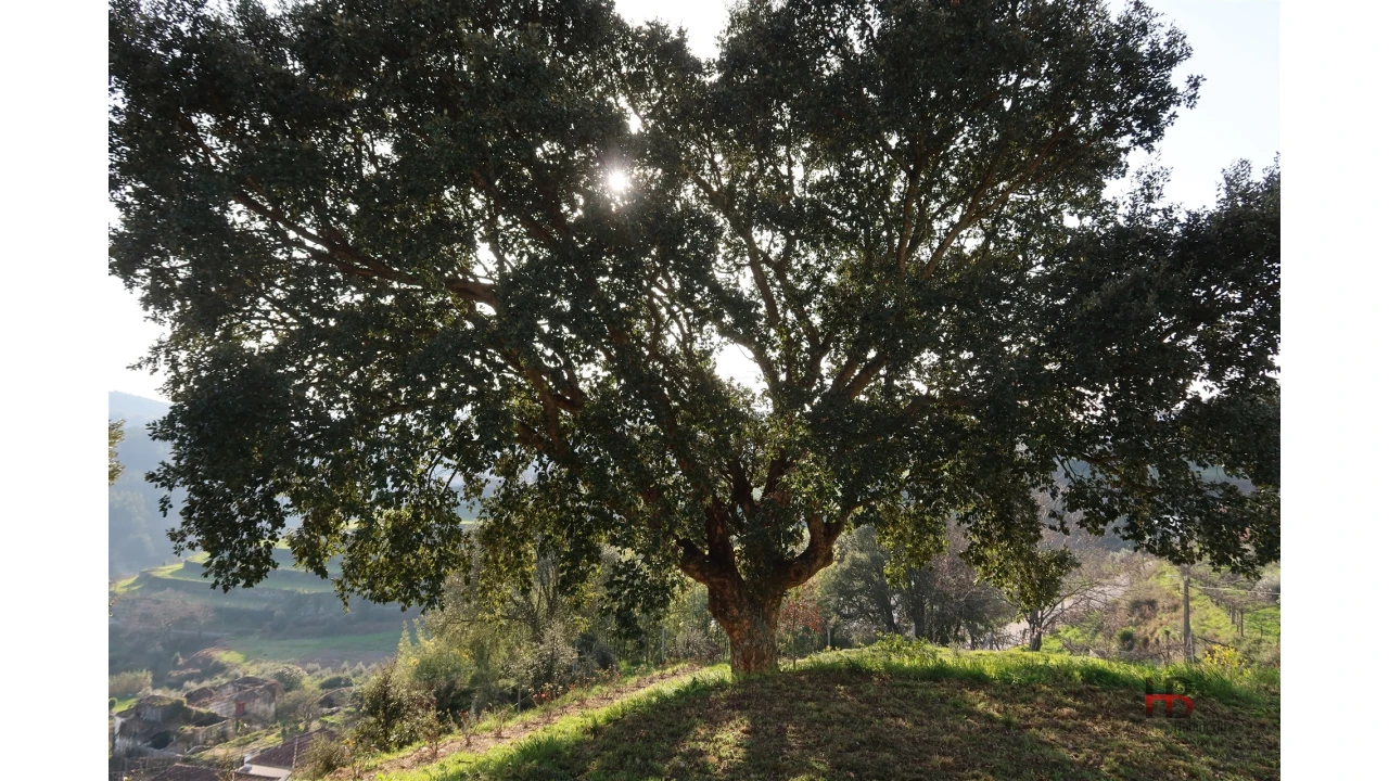 Quinta T4 para Venda em Sobrado e Bairros Foto 16